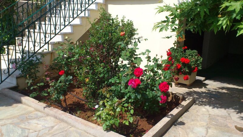 Photo 16