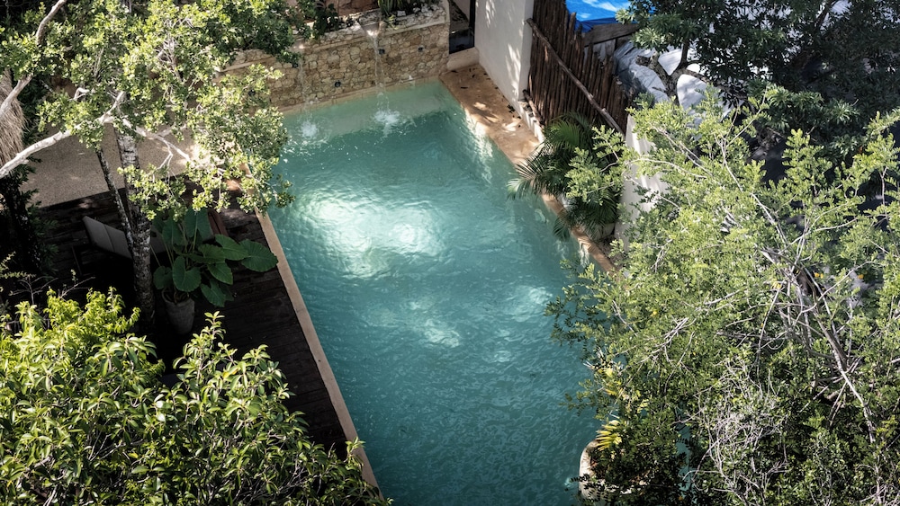 Jungle Resort Suites & Private Pool
