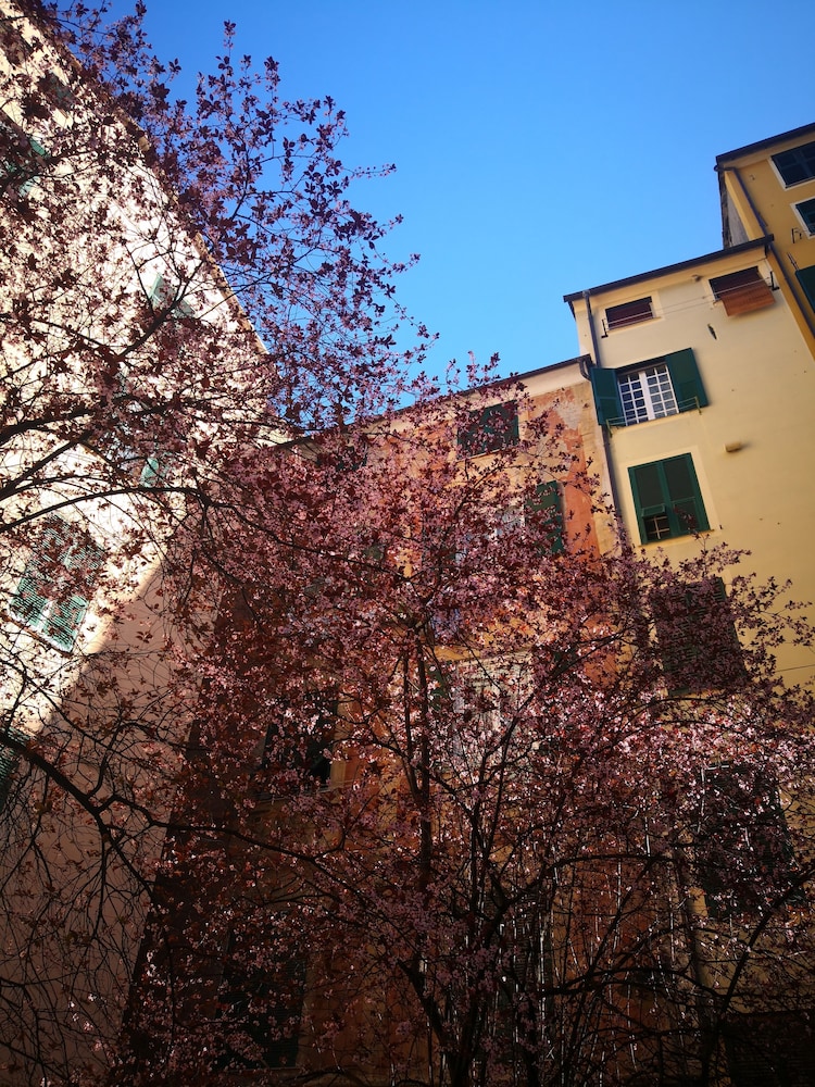 Hotel B&B Lavagna Uno - Image 1