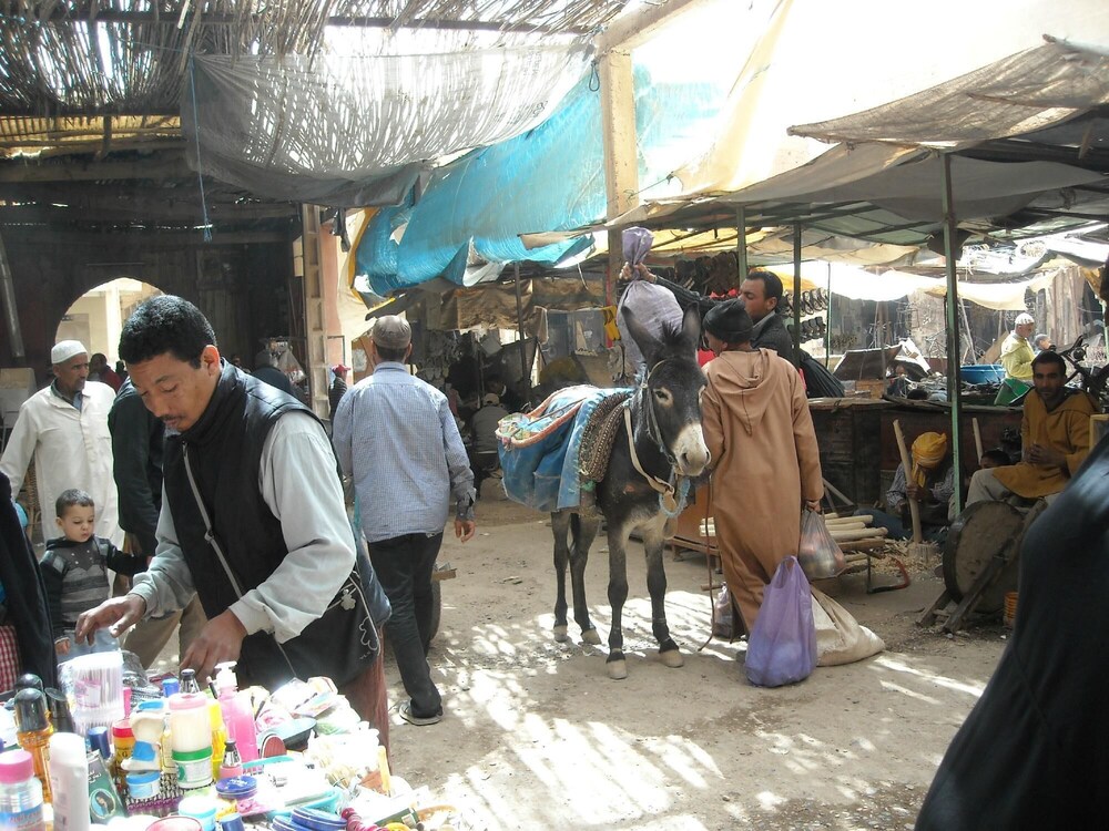 Amskou Camp