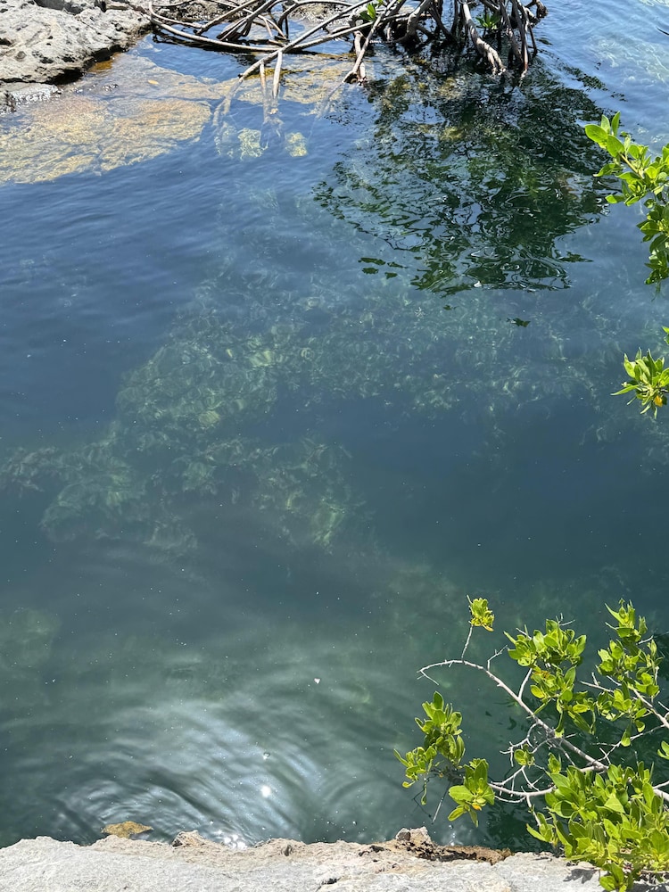 Villa Amable Lujo entre Selvas y Lagunas