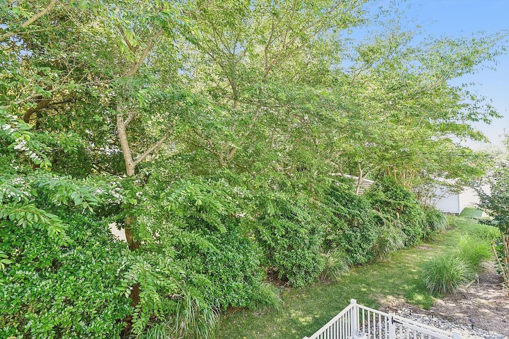 Tingle Avenue 624