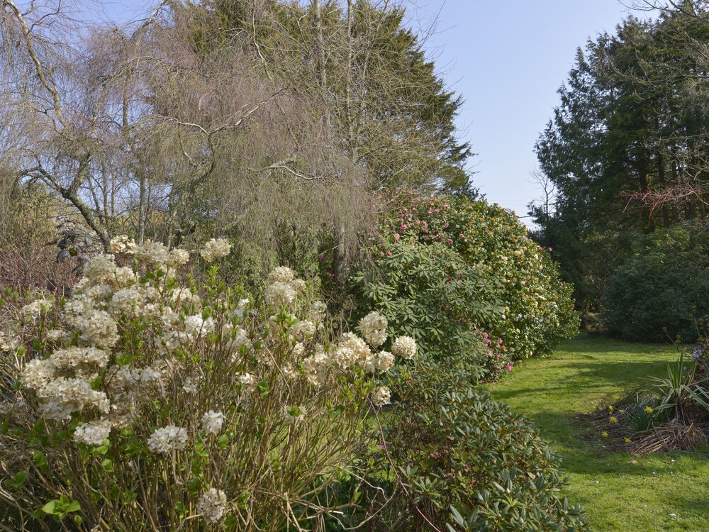 Looe Vacations - Erin Cottage - Property Image 6