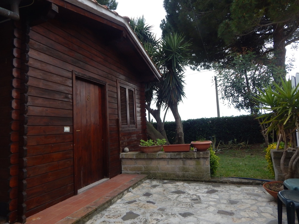 Photo 10