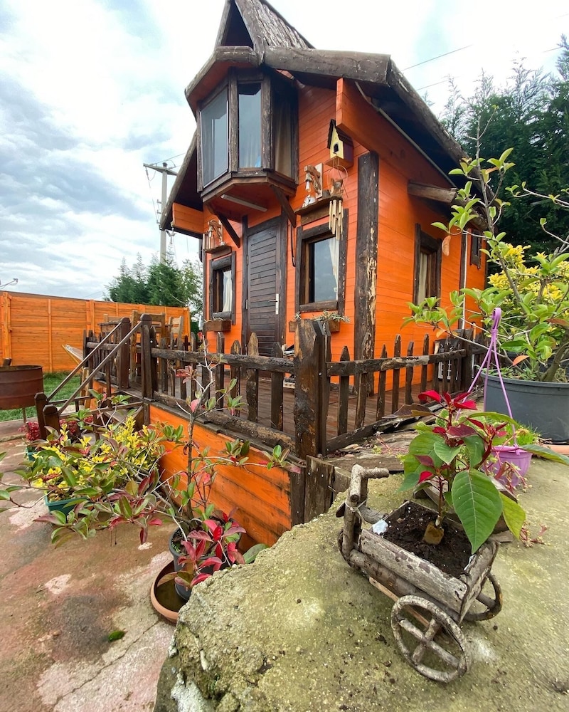 Photo 19