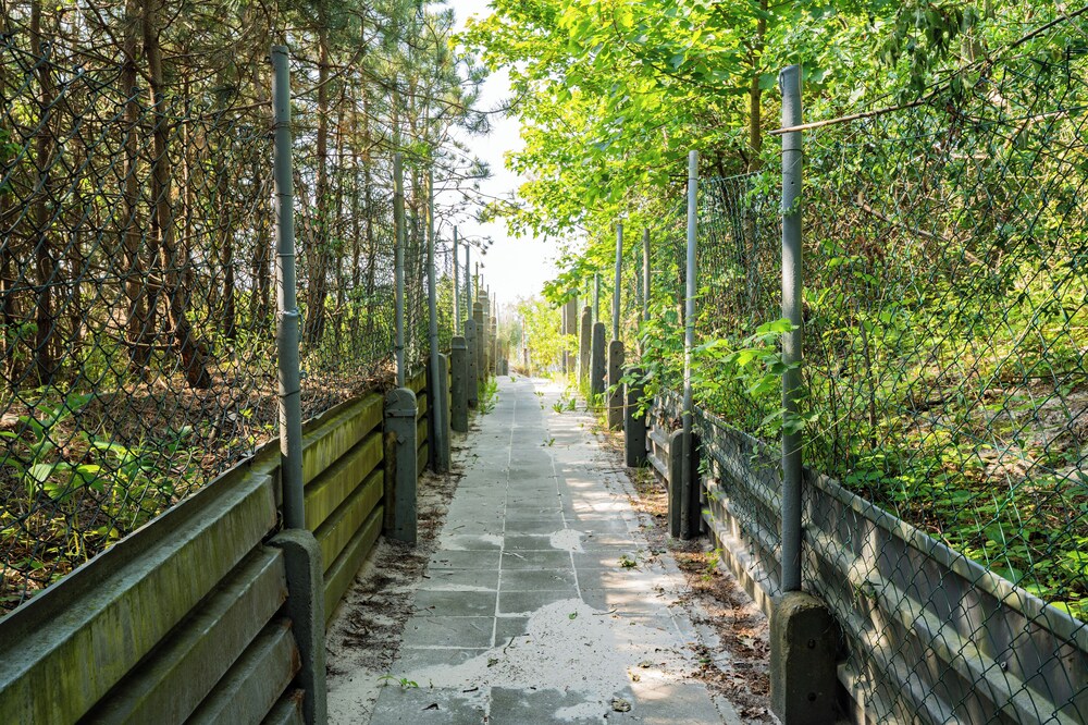 Baltic Forest