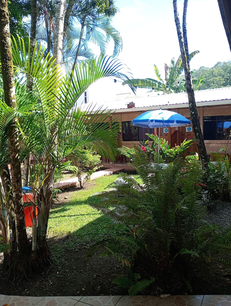 Photo 23