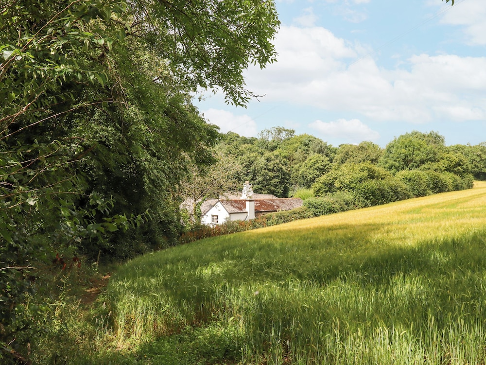 Hole Farm Stables