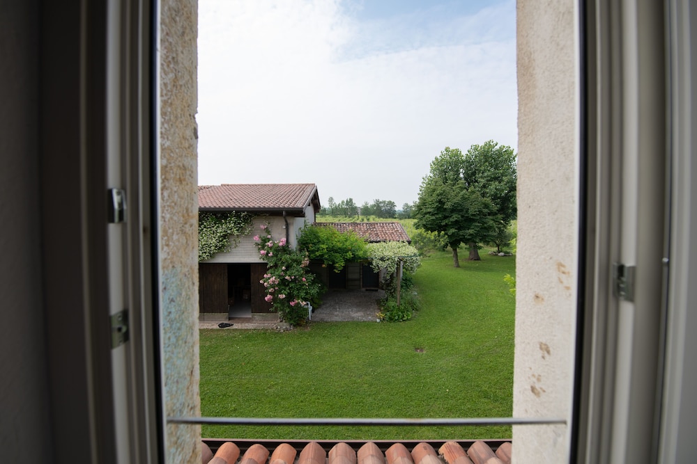 Photo 26