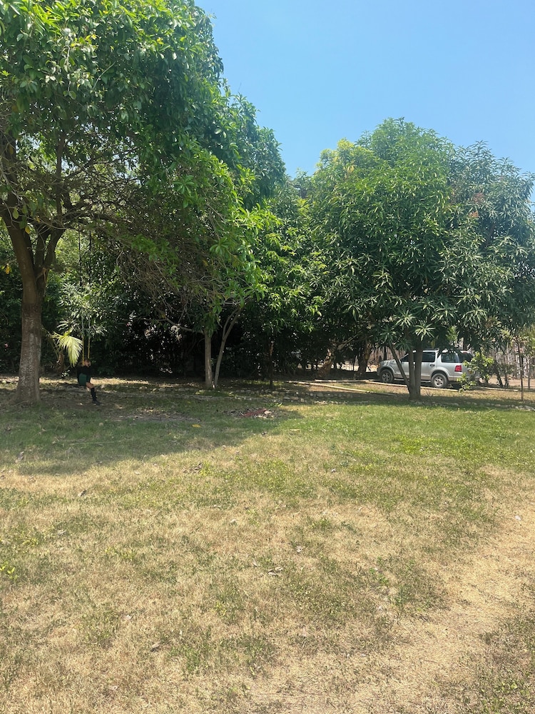 Tree of Life - Hostel