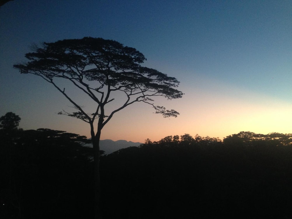 Bee View Home Stay