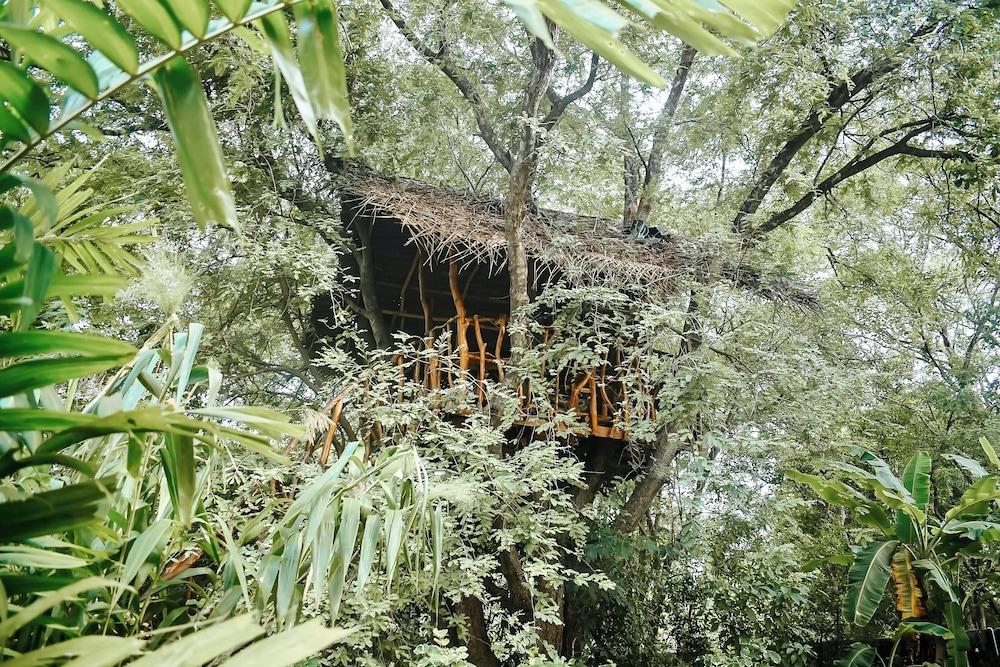 Woodland Sanctuary