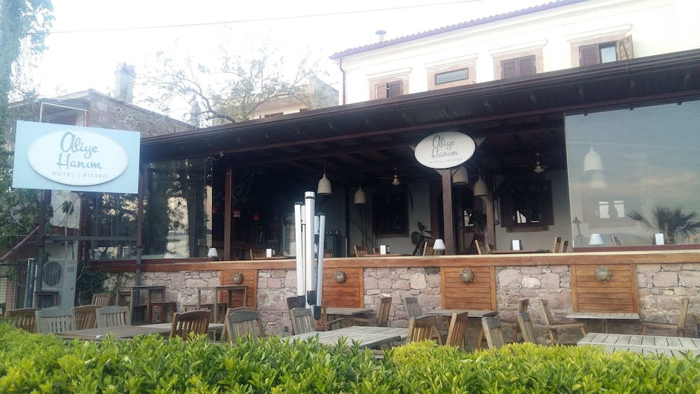 Aliye Hanım - Image 55