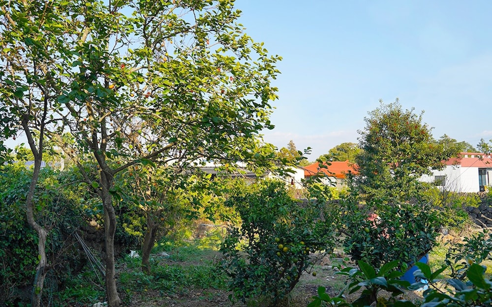 Jeju Joyonghan Guest House Sanbangsan view 4