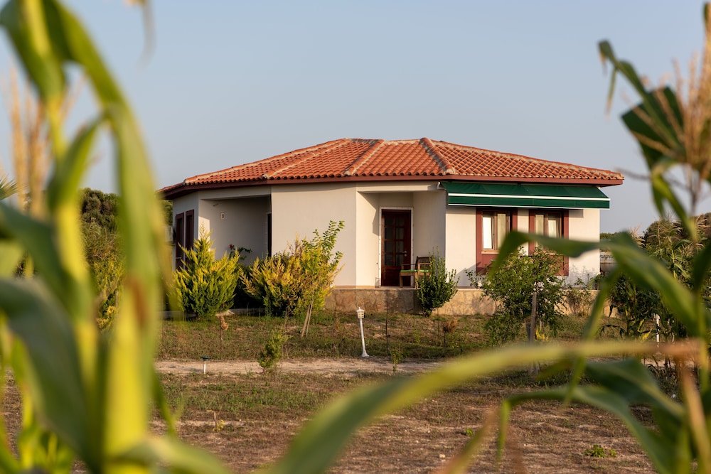 Karina Vineyard Evi - Image 24