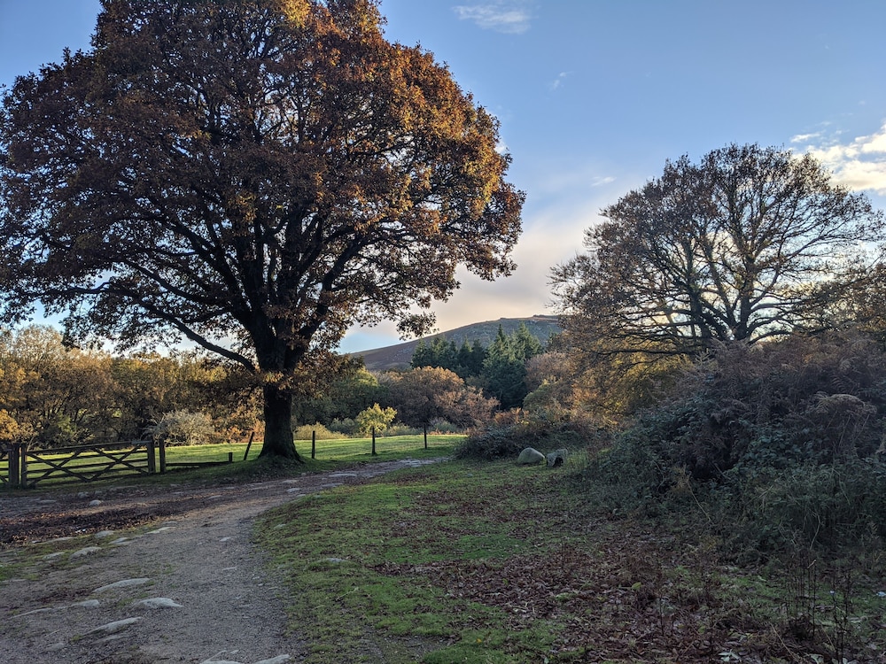 Yelverton Vacations - Railway Ramblers' Rest - Property Image 14