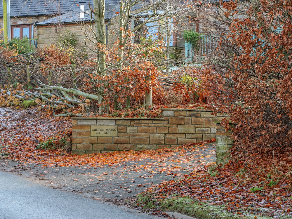 Swift Cottage