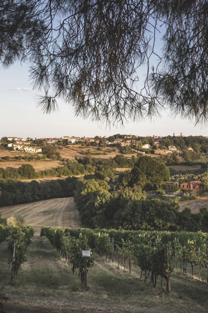 Country Resort Al Poggio dei Papi view 3