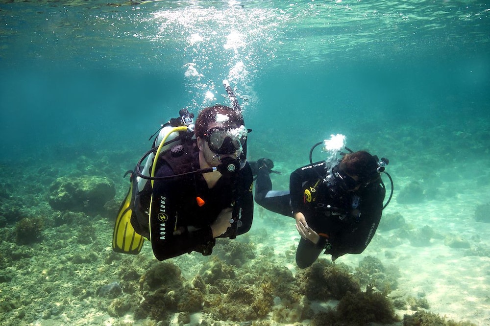 Thresher Cove Dive Resort - Property Image 5