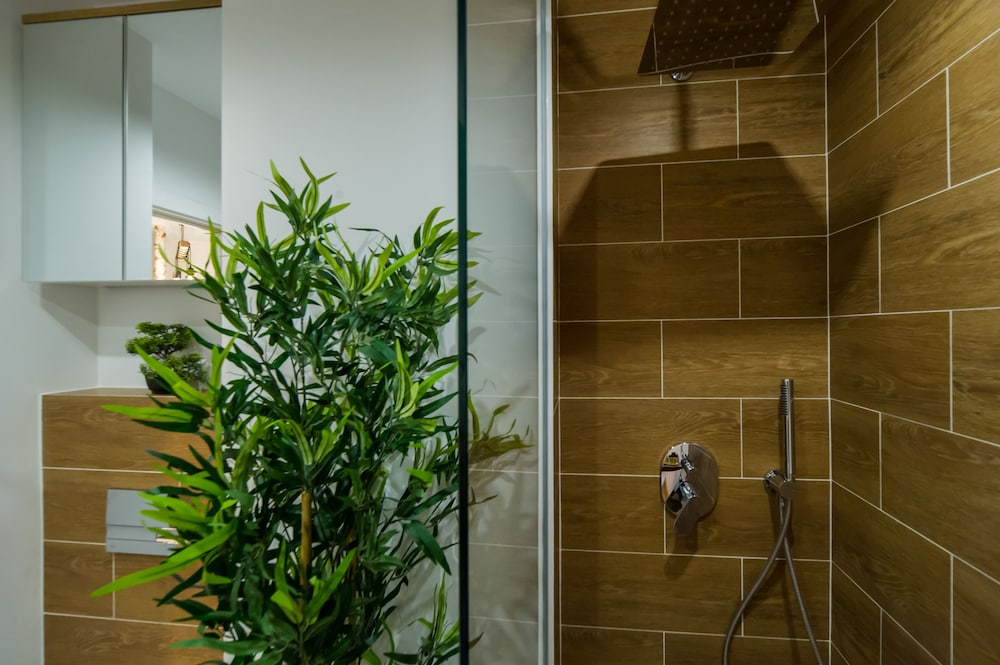 Zen Alpin Studio en Brasov