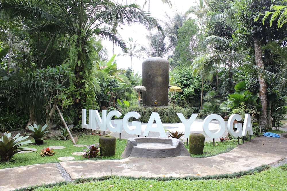 The Jungle Pots