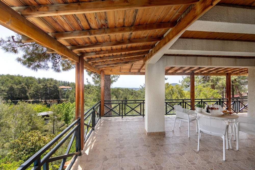Platres Forest Panorama