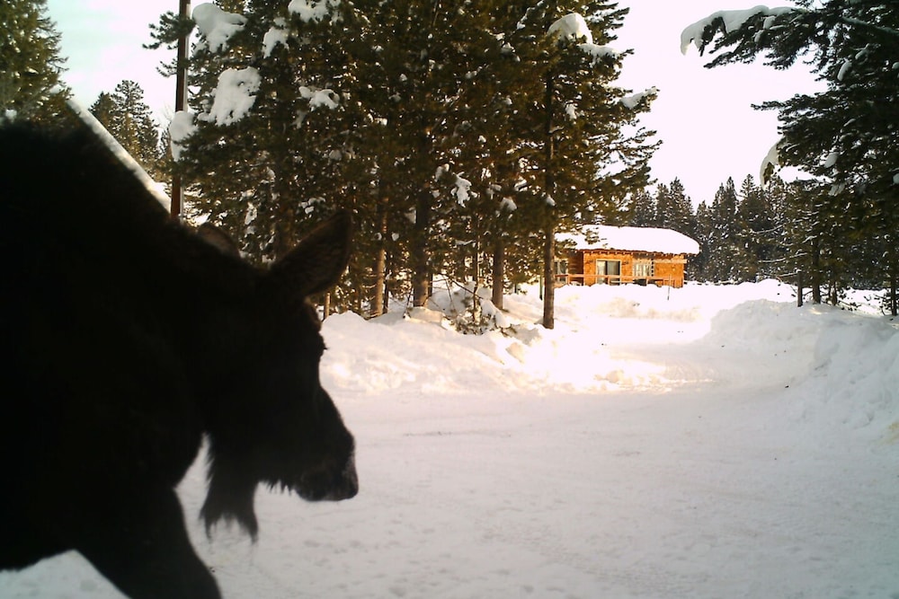 Photo 13