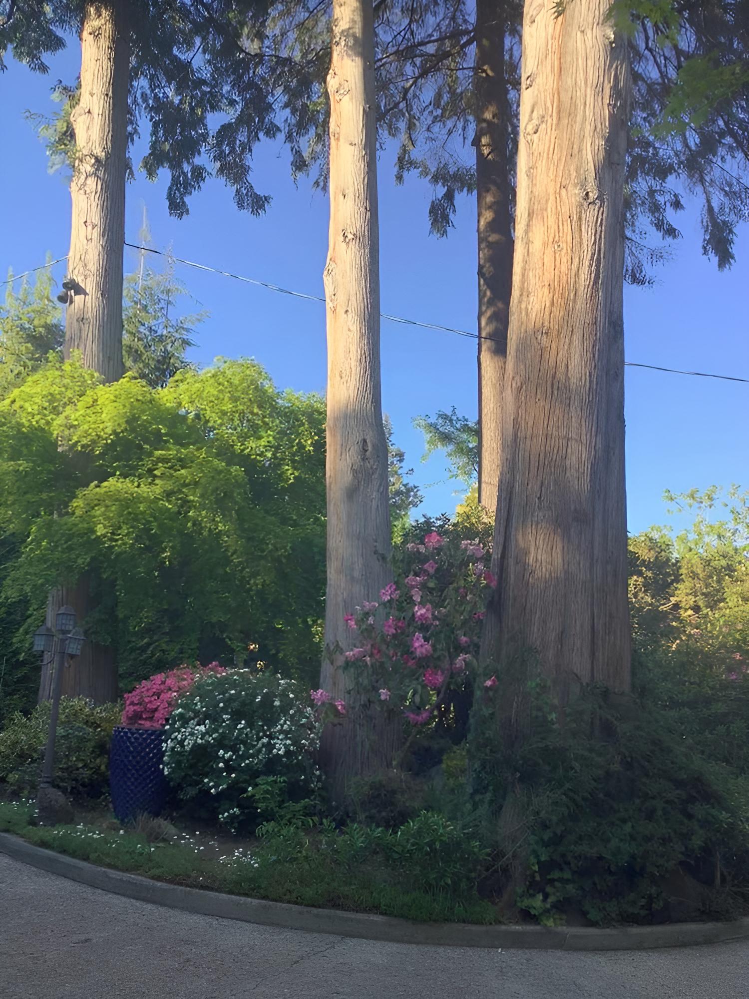 Suite Smart West Van - Property Image 2