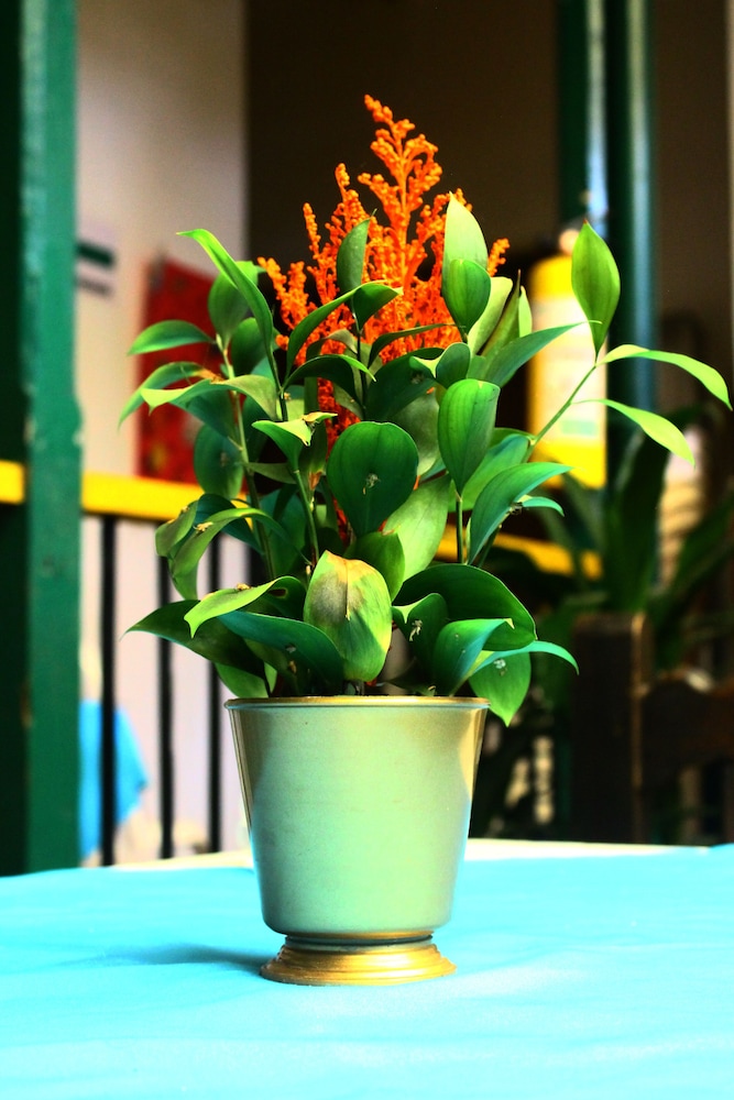 Hotel Geranios - Property Image 2