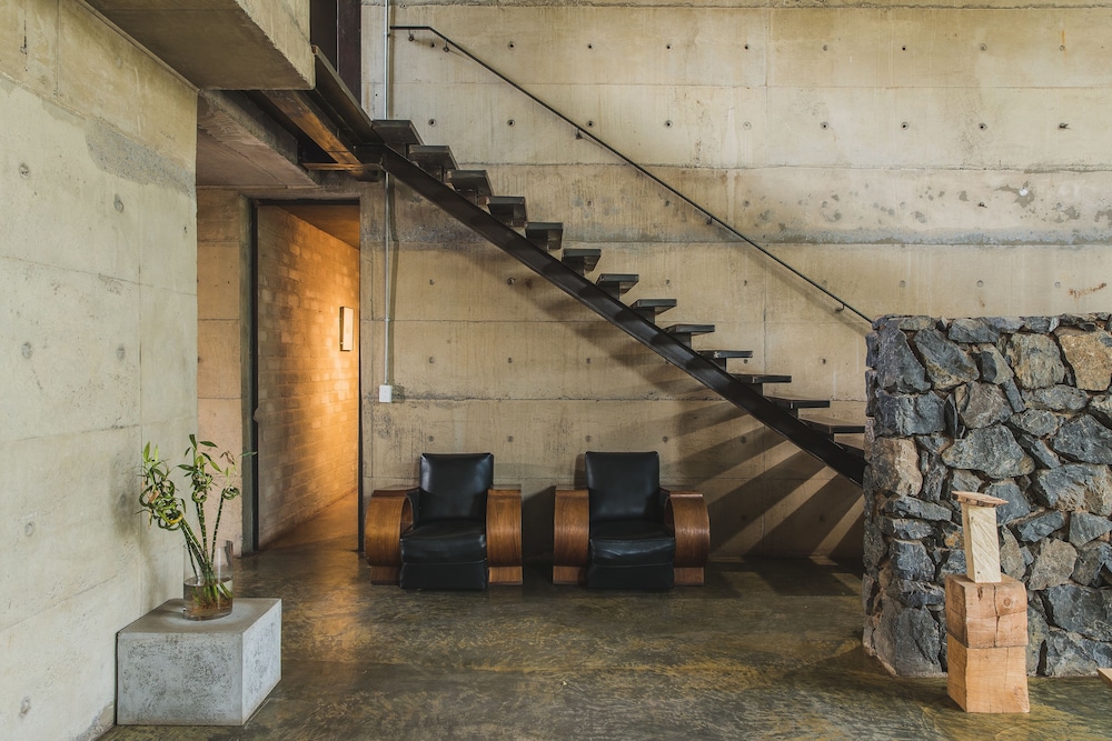 Celtis House