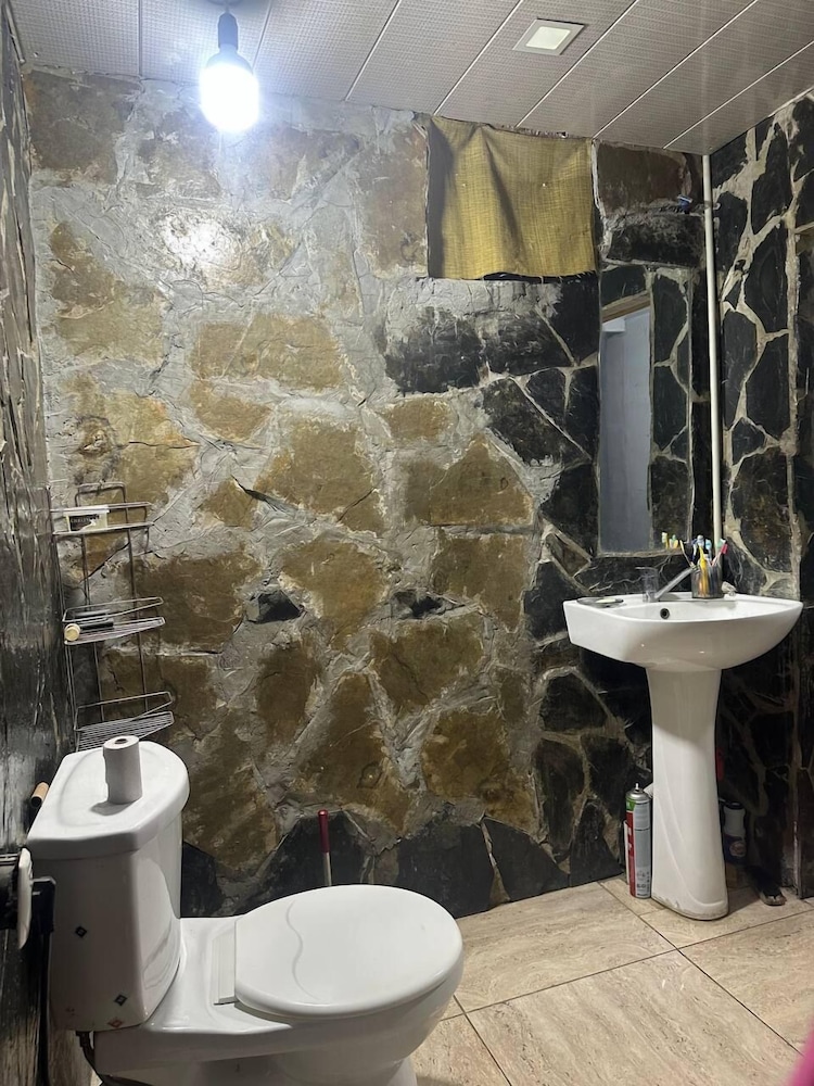 Qvis sakhli