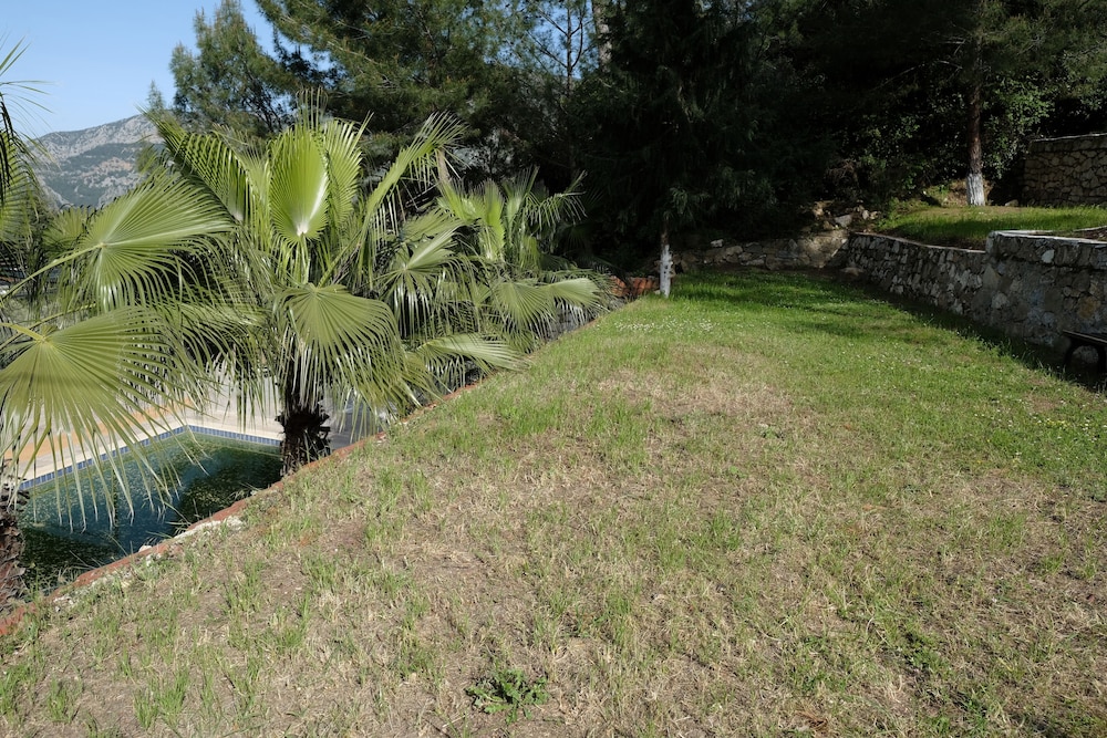 Photo 22