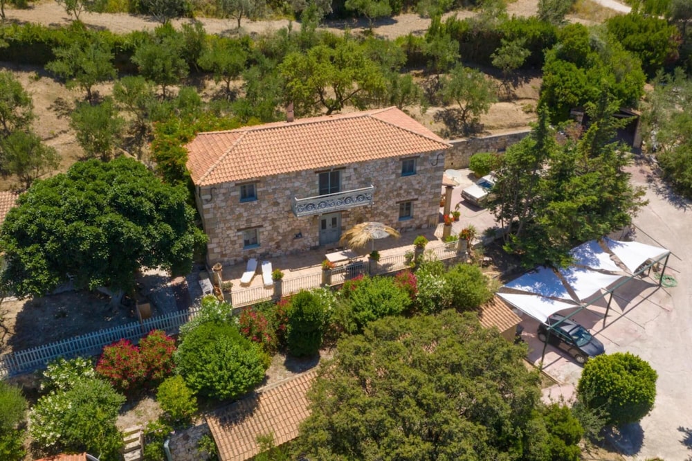 Photo 42