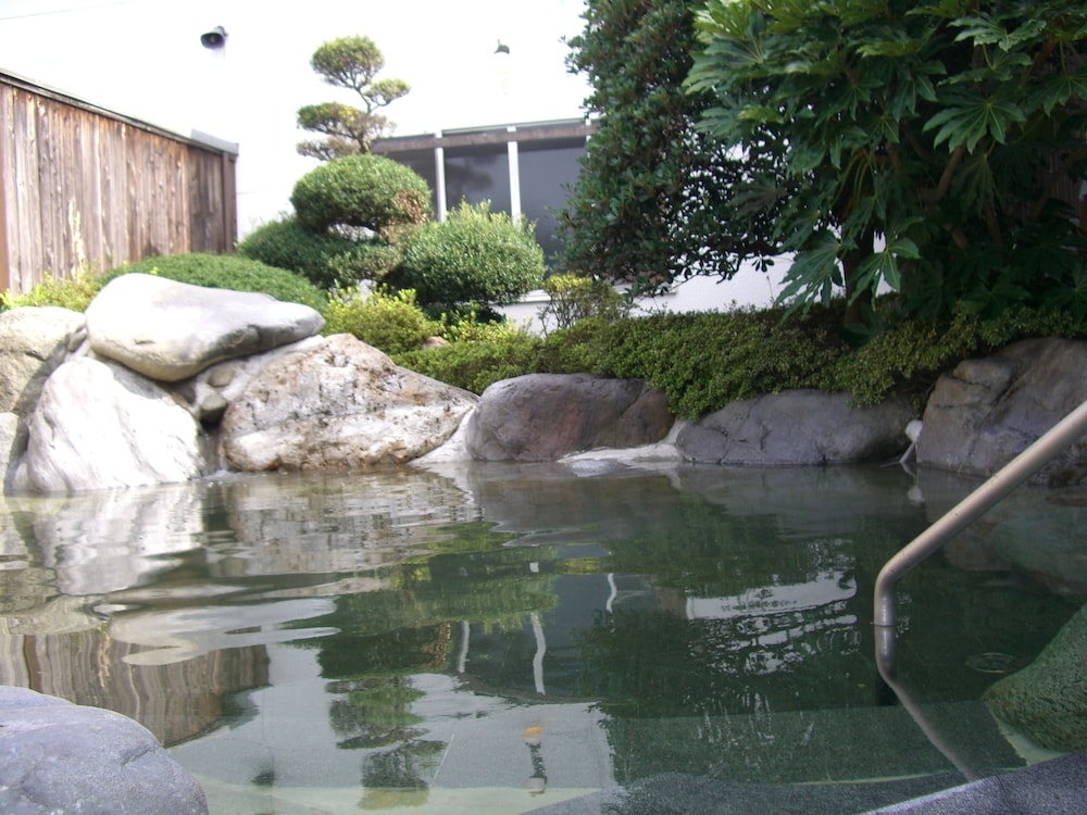 Photo 39