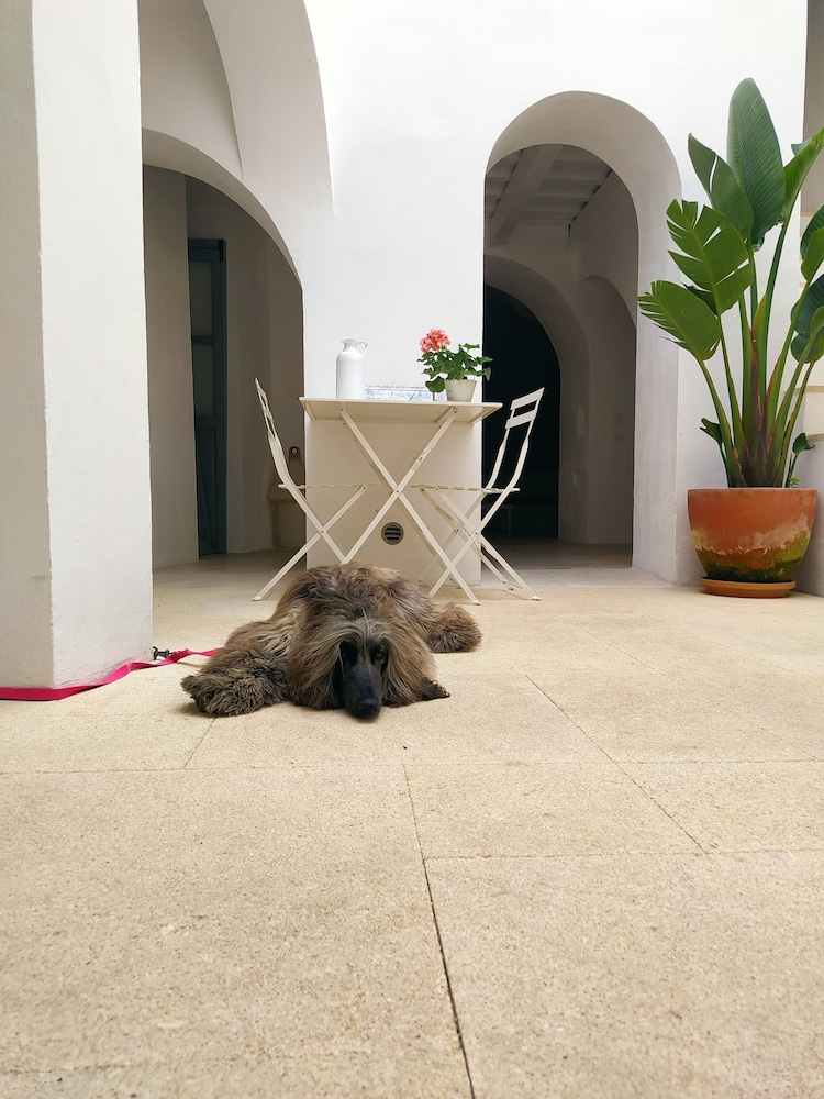 Casa boutique Encalada