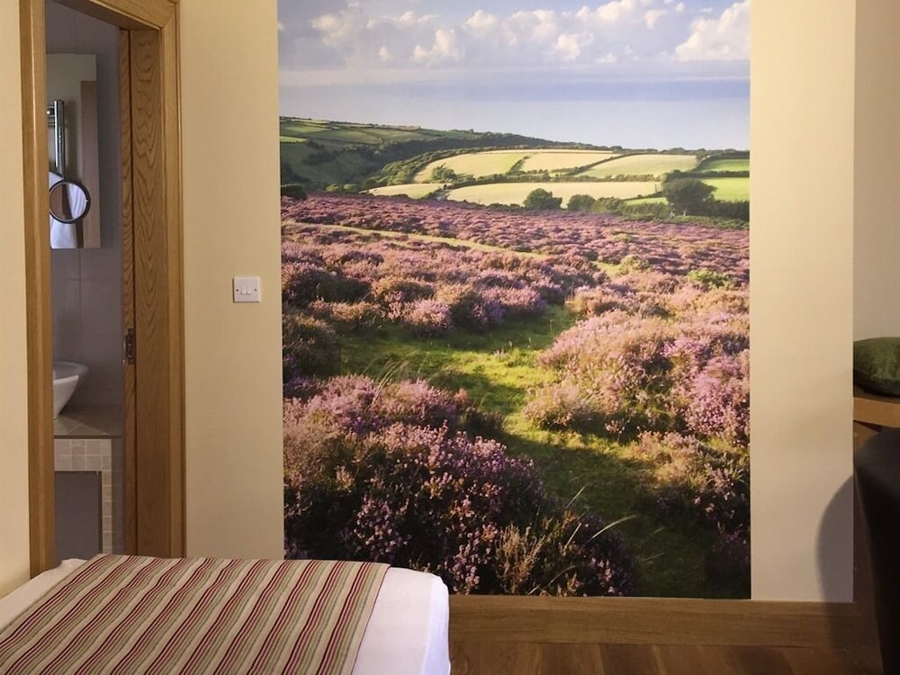 Ashbrook House B&B