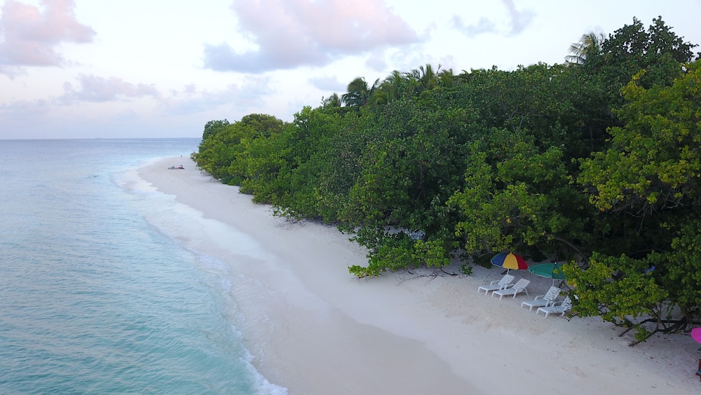 Beach Veli