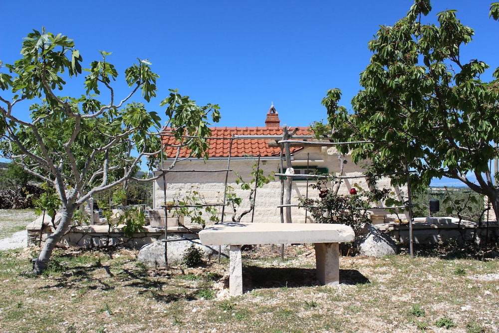 Photo 42