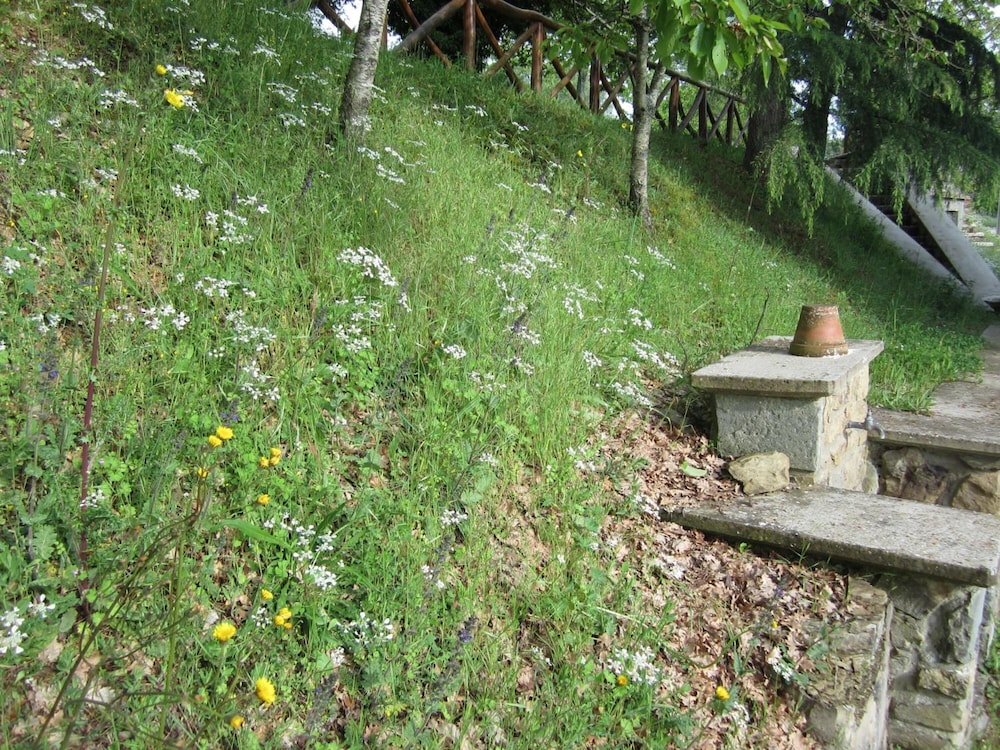 Photo 35