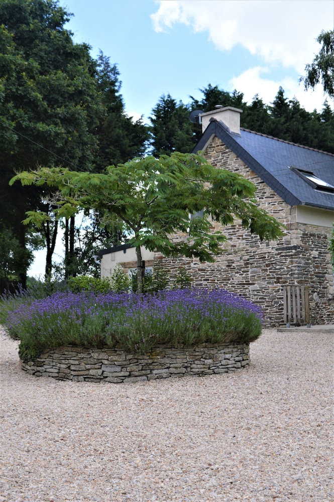 B&B St Emilion Braz