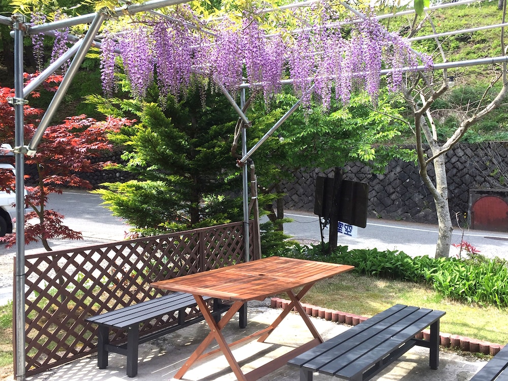 Sakura Guest House - Hostel
