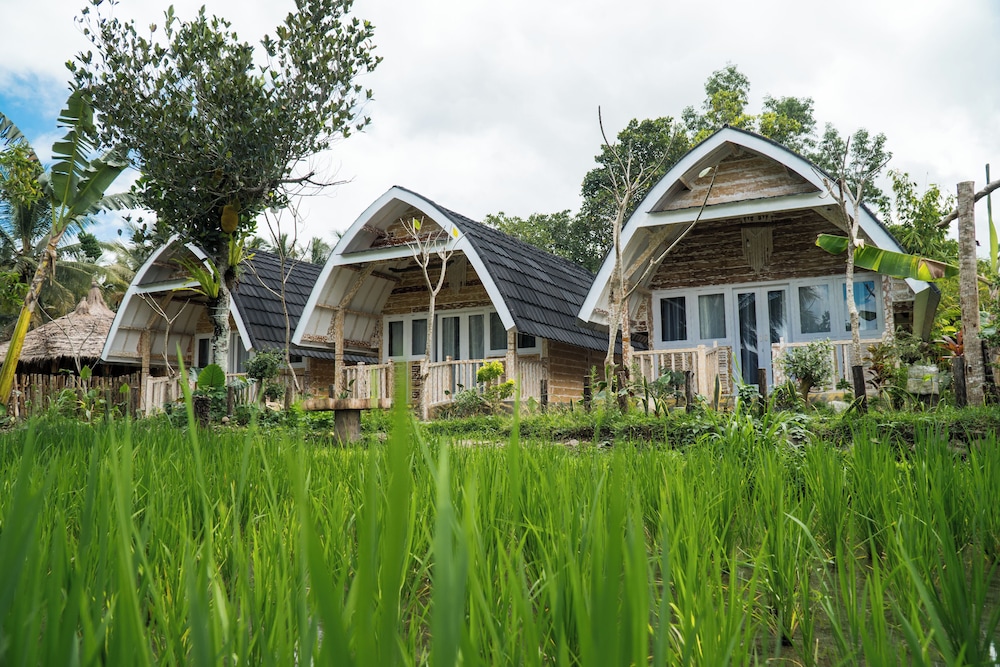 Aranka Tempasan