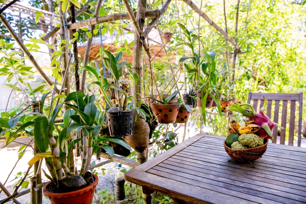 An Bang Morning Glory Beach Homestay