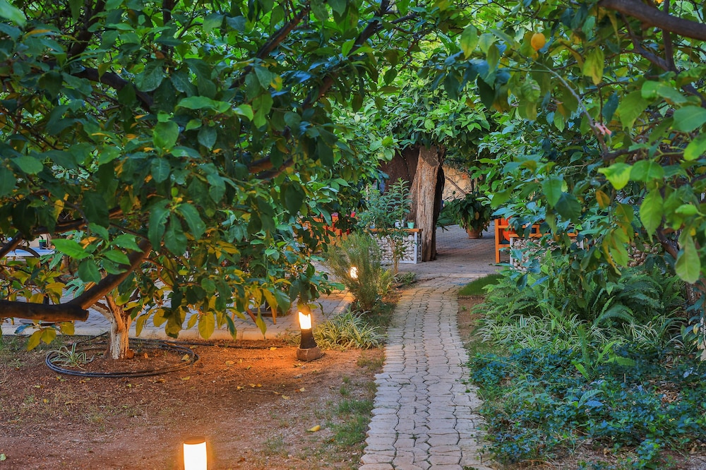 Harnup Apart - Image 33