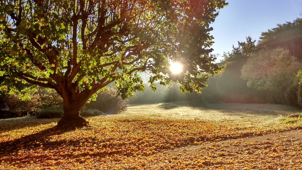 Mas de Cocagne en Provence