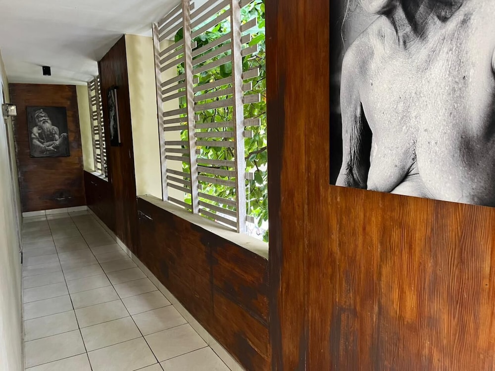 Palm 57 Guesthouse