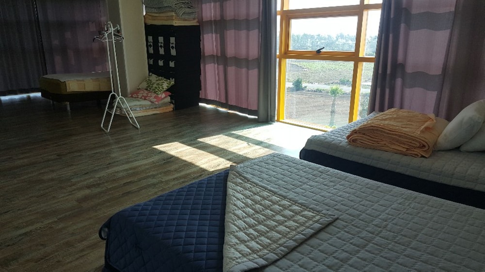 The Freedom - Hostel view 3