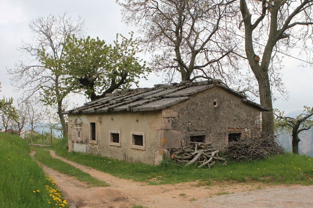 Photo 45