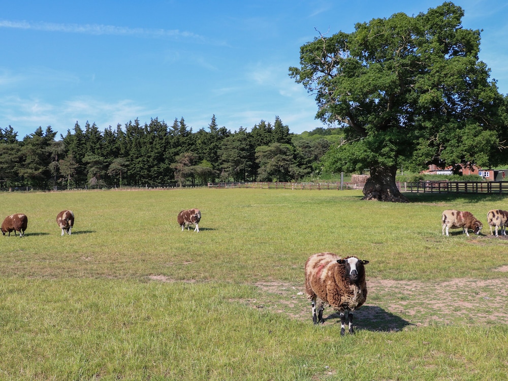 Shorthorn Barn