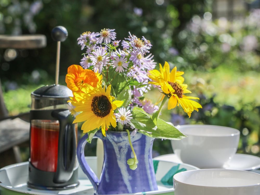 Yelverton Vacations - The Daffodil Shed - Property Image 14